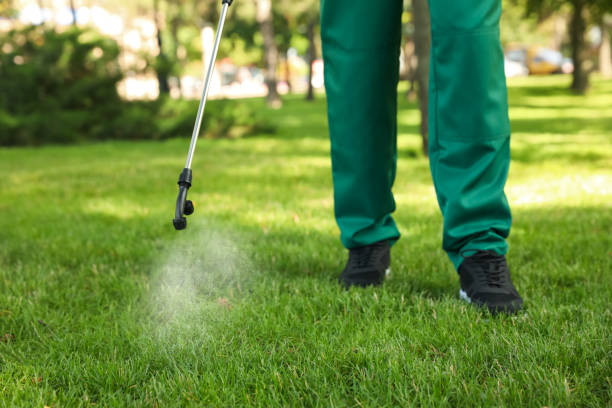 Wasp Removal Services in South Palm Beach, FL