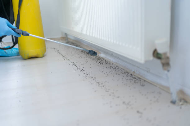 Trusted South Palm Beach, FL Pest Control Experts